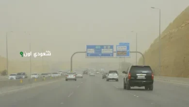 السعودية توقعات بطقس ممطر ورياح مثيرة في عدة مناطق