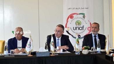 اتحاد شمال إفريقيا