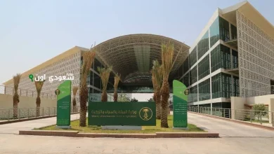 فرصة استثمارية كبيرة في تربية اللحوم الحمراء بالمدينة المنورة