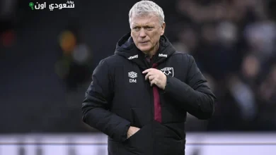 ديفيد مويس