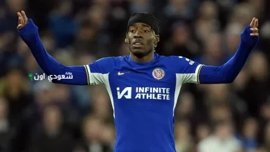 نوني مادويكي