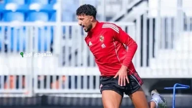 وسام أبو علي