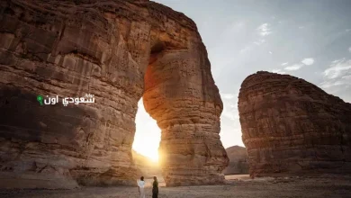 تحول العلا إلى واحدة من أبرز الوجهات السياحية العالمية وأسباب هذا النجاح المتميز