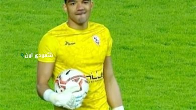 محمد صبحى