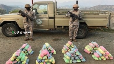 إحباط محاولة تهريب 31 كيلوجرامًا