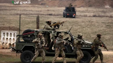 مناورات عسكرية مشتركة للناتو في جورجيا Amid خلافات مع الدول الأوروبية