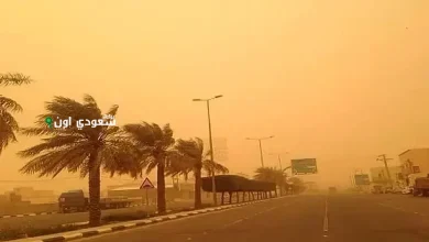 رياح نشطة وأتربة مثارة في منطقة الباحة خلال الأيام المقبلة