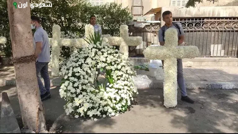 مراسم استقبال لطفى لبيب