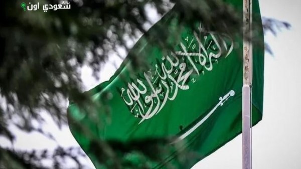 السعودية تعزز جهودها نحو «حل الدولتين» في إطار استراتيجيتها الإقليمية الجديدة