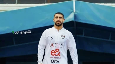محمد ربيعة