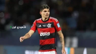 ايرتون لوكاس