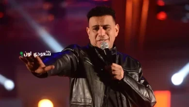الفنان محمود الليثي