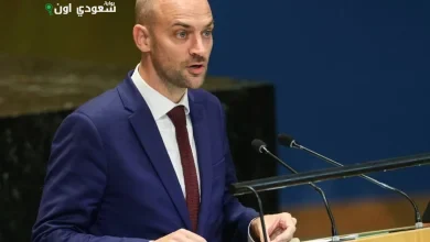 وزير الخارجية الفرنسي يؤكد ضرورة الانتقال من الحرب في غزة إلى السلام الدائم