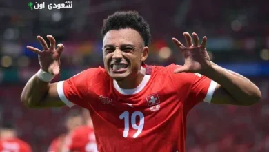 دان ندوي