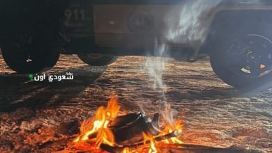 ضبط مخالف