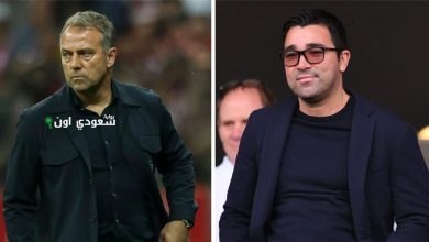 فليك وديكو