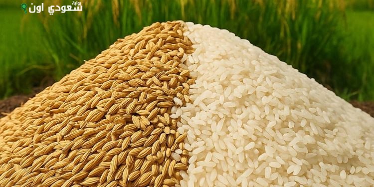 أصناف الأرز سعر الأرز الشعير رفيع وعريض اليوم 31 يوليو 2025 بالأسواق المصرية