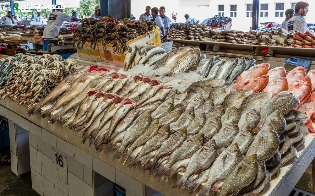 مائدة اليوم قائمة أسعار السمك الطازج في سوق العبور الخميس 31 يوليو 2025 وتحديثاتها الأخيرة