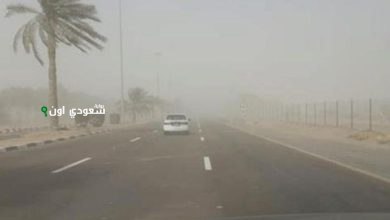 هبوب رياح محملة بالأتربة تضرب منطقة نجران