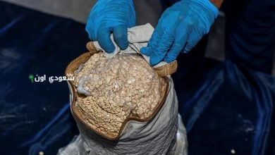 إحباط عملية تهريب كبيرة