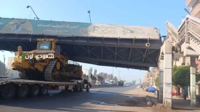 انهيار كوبري مشاه بطوخ