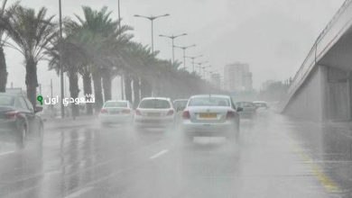 حالة الطقس اليوم.. استقرار نسبي مع احتمال سقوط أمطار متفرقة على بعض المناطق وتحذيرات للمواطنين