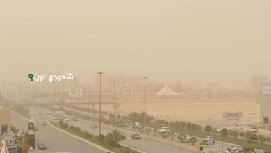 رؤية ضبابية