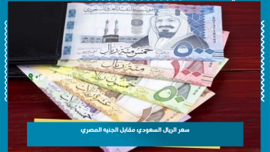 سعر الريال السعودي مقابل الجنيه المصري