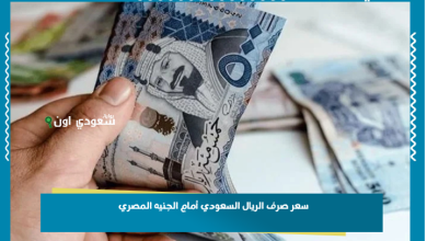 سعر صرف الريال السعودي أمام الجنيه المصري