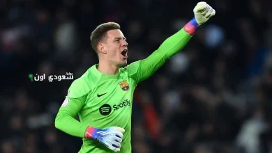 مارك تير شتيجن