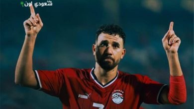 محمود حسن تريزيجيه