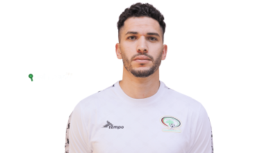 محمود وادي
