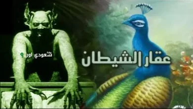 مخدر جديد يثير القلق: "مخدر الشيطان"