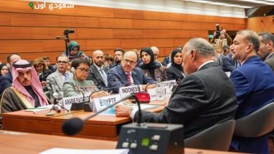 وزير الخارجية يؤكد أهمية مؤتمر حل الدولتين في تحقيق السلام العادل والشامل للمملكة