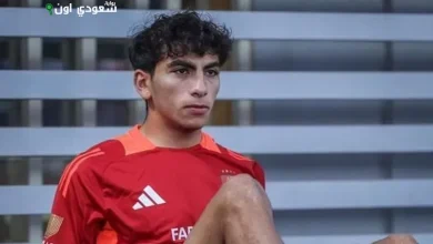 يوسف سيد عبد الحفيظ