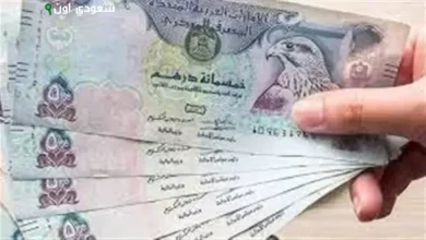 سعر الدرهم الإماراتي