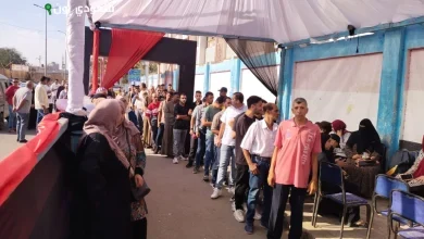انتخابات مجلس الشيوخ بالقليوبية
