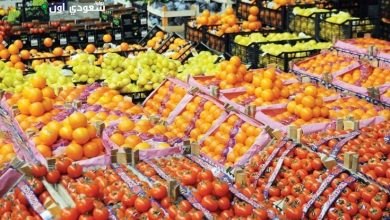 الهيئة القومية لسلامة الغذاء تكشف عن زيادة صادرات الأغذية إلى 165 ألف طن