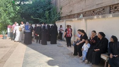 لجان قنا