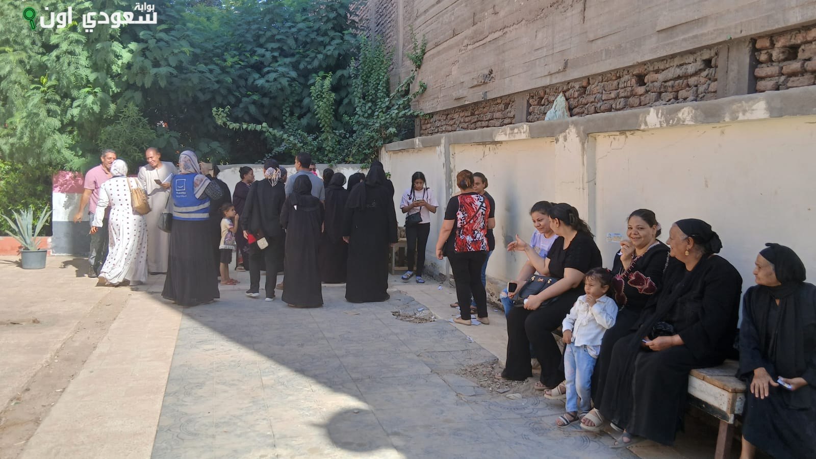 لجان قنا