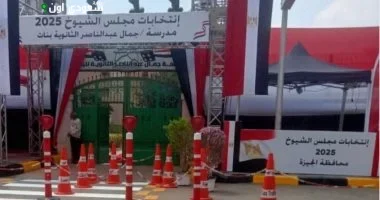 لاستقبال انتخابات مجلس الشيوخ