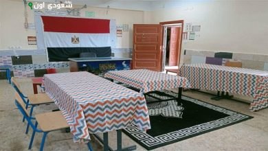 628 مركزا انتخابيا و633 لجنة فرعية في البحيرة استعدادا لانتخابات مجلس الشيوخ