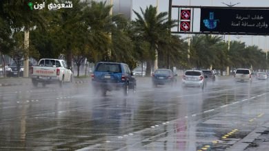 «الأرصاد الجوية» تحذر من أمطار غزيرة ومتوسطة تؤثر على منطقة الباحة