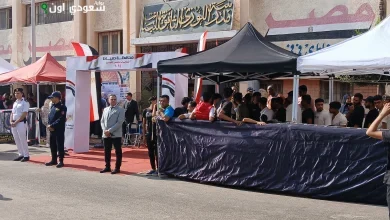 لجان دمياط