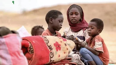 حاكم إقليم دارفور يحذر من خطر تقسيم السودان في ظل الأزمات المتزايدة