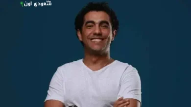 الفنان ميدو عادل