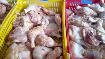 ضبط 2 طن من منتجات الدواجن غير القابلة للاستهلاك في محل غير مرخص بالخانكة