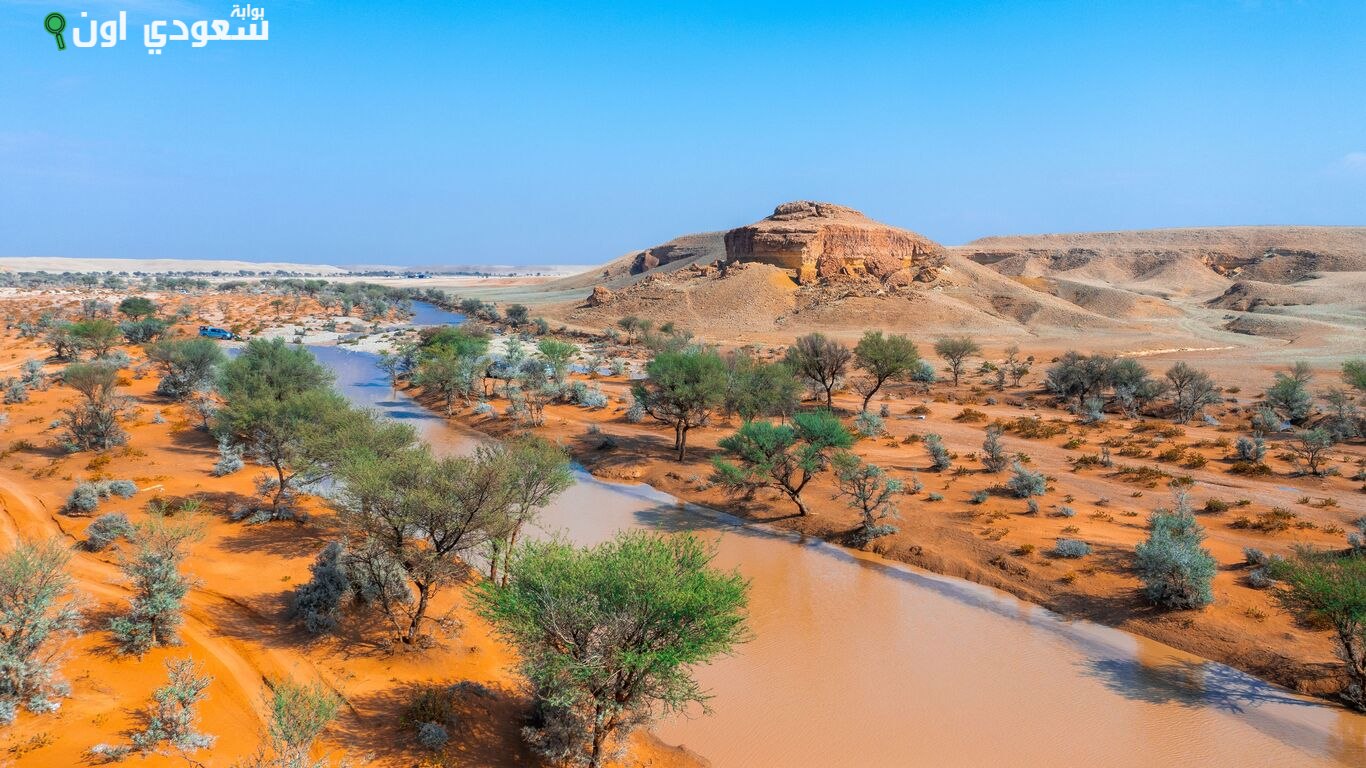 محمية الملك عبدالعزيز الملكية