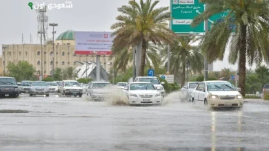 توقعات تساقط أمطار غزيرة على 4 مناطق اليوم الجمعة