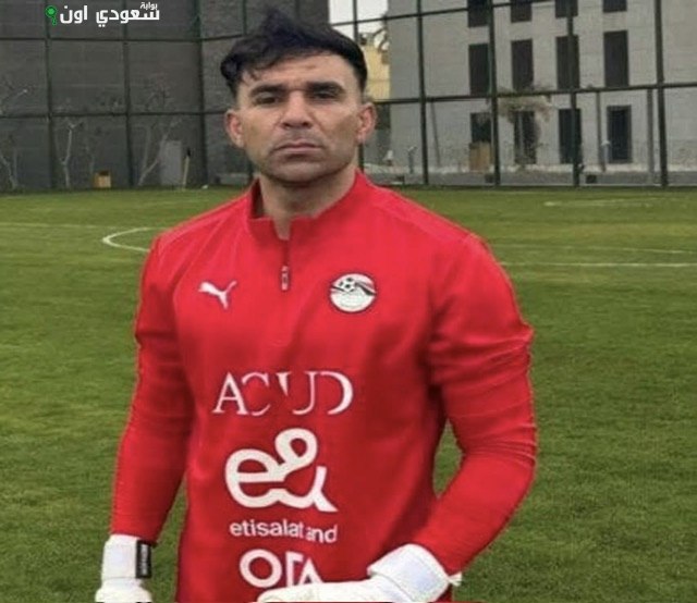 محمد أبو النجا